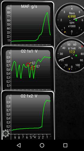 OBD Torque Bild LMM Bild 1