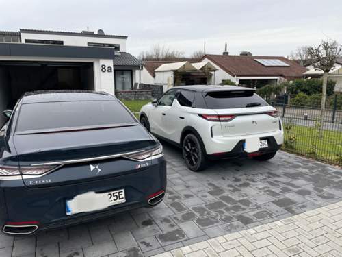 2x DS :-).jpg