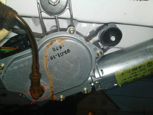 Motor