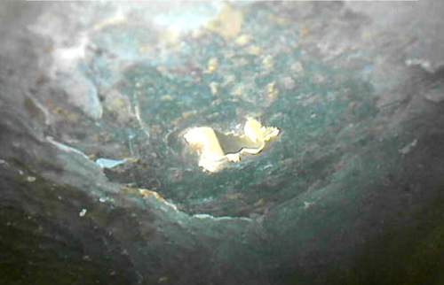 Rost 2 Endoskop