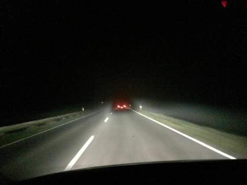 Img-4910