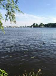 Bild #209267142