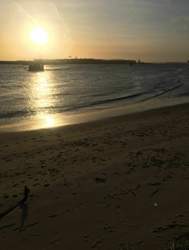 Bild #209267138