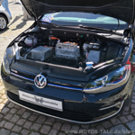 Egolf2