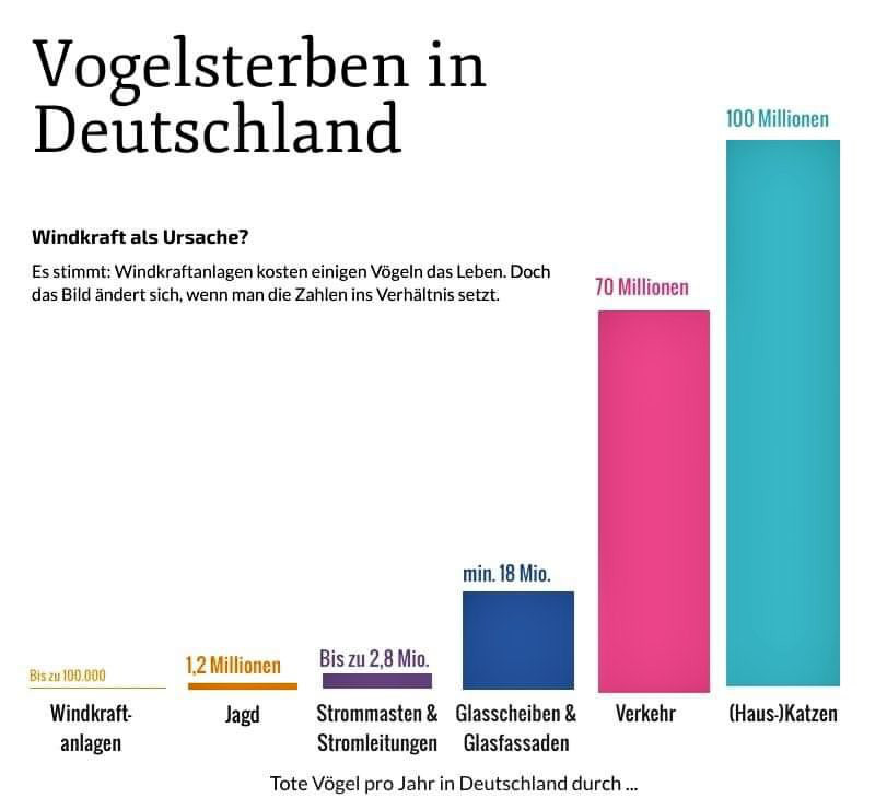 E10/Super/Super+ verbrennen! Oder lieber Strom verbrauchen?