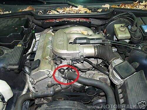 Motor