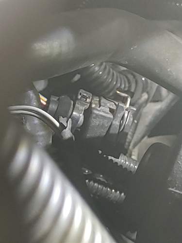 Stecker