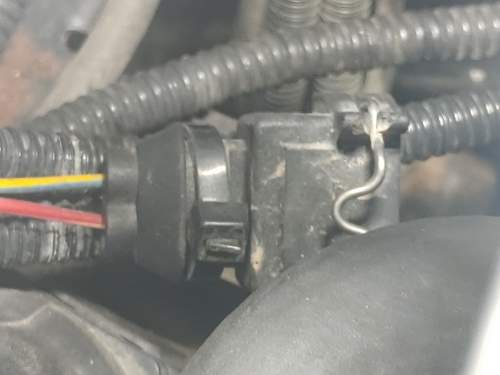 Stecker