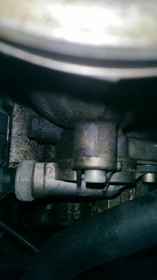 E36 schwitzt/tropft öl von wo?