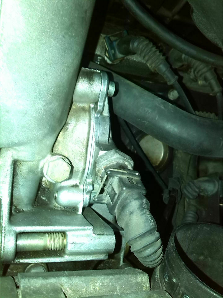 E36 schwitzt/tropft öl von wo?