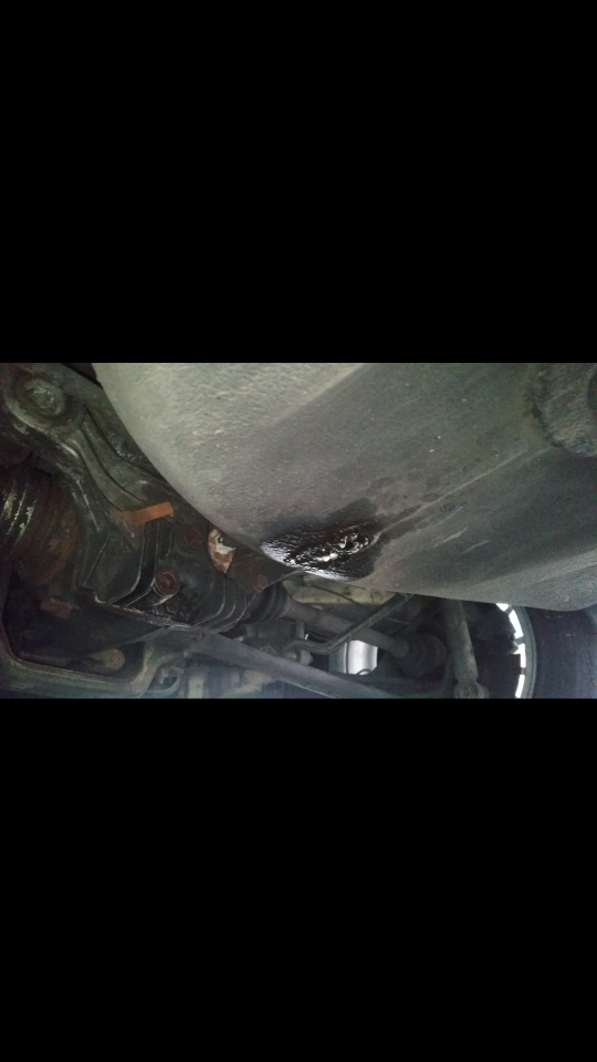 E36 schwitzt/tropft öl von wo?