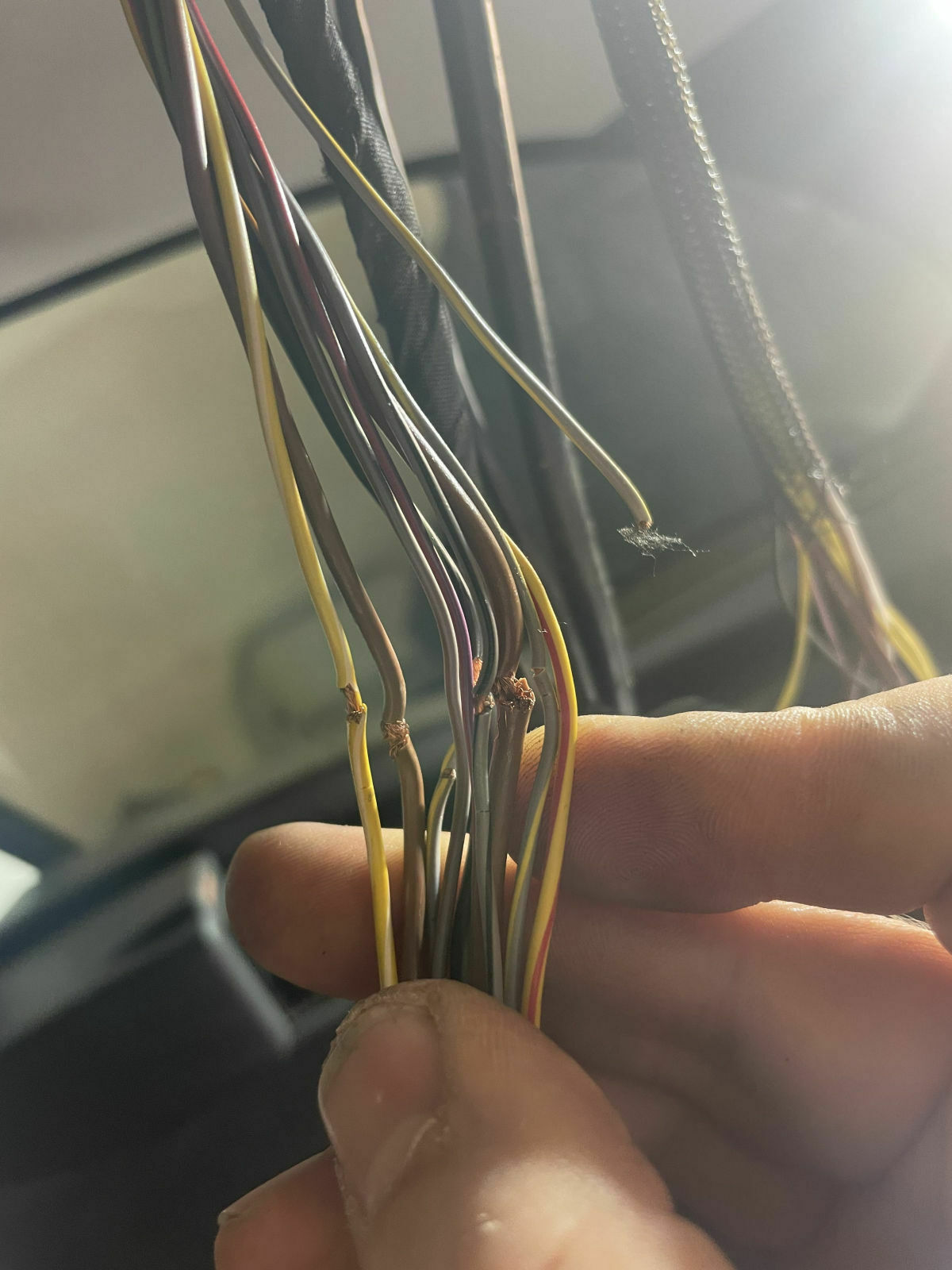E61 - Kabelbruch Heckklappe - aber auf welcher Seite? BMW-Rep Satz notwendig?
