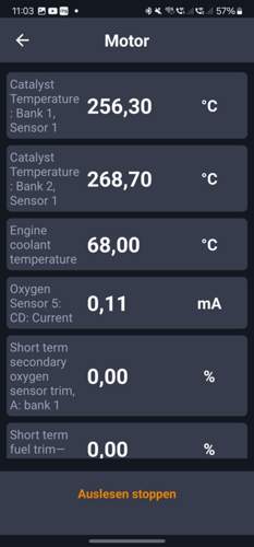 Katalysator Temperatur