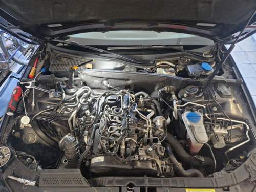 Motor