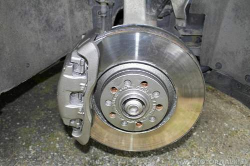 Img-0530