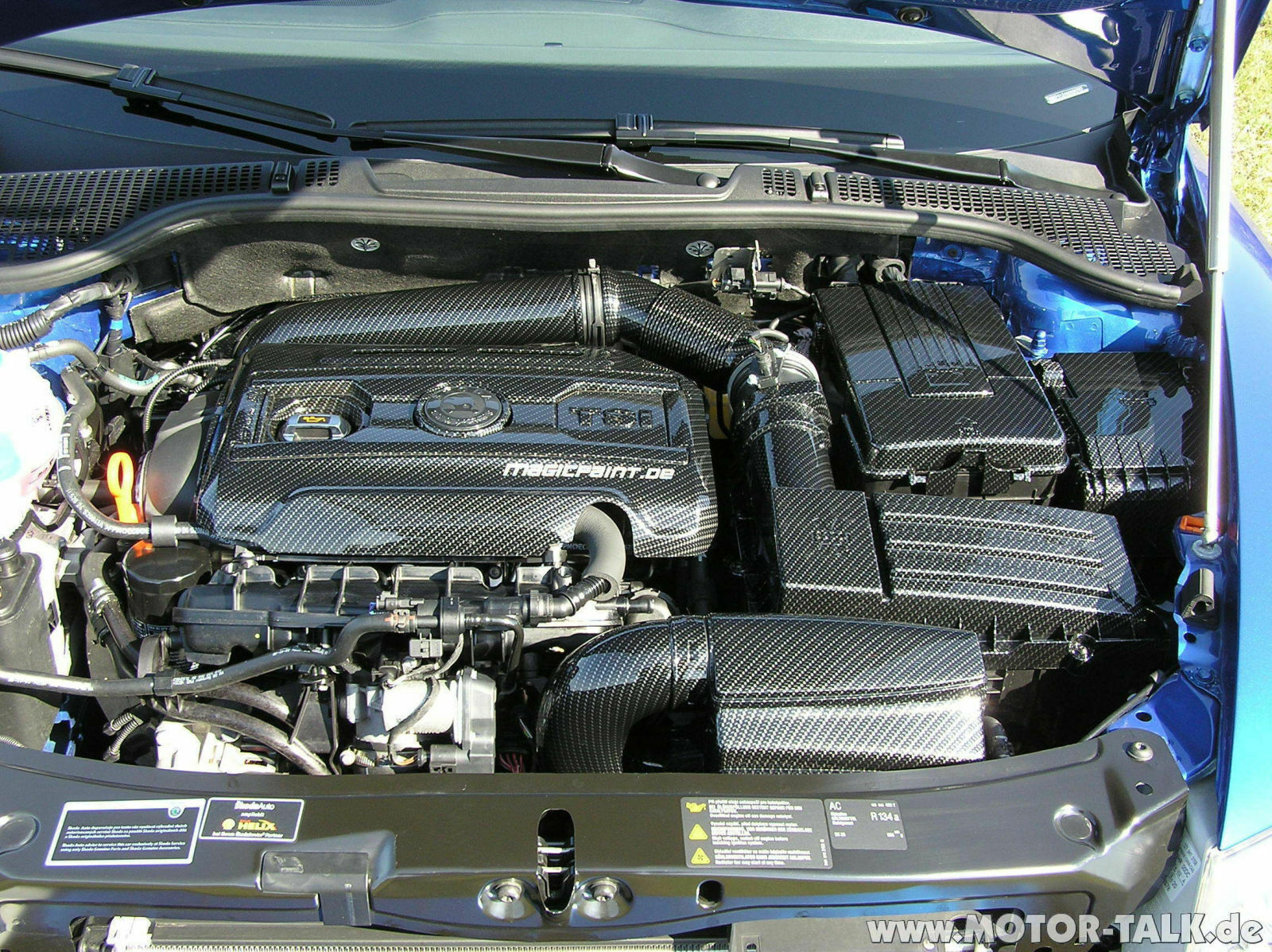 Echtcarbon