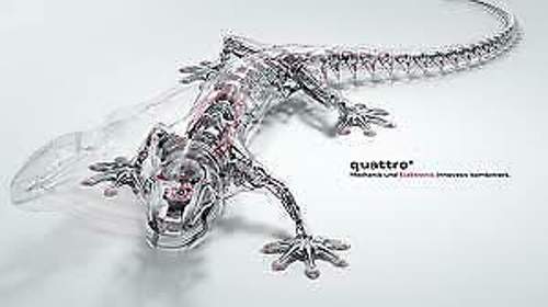 Gecko