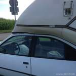 Img-2338