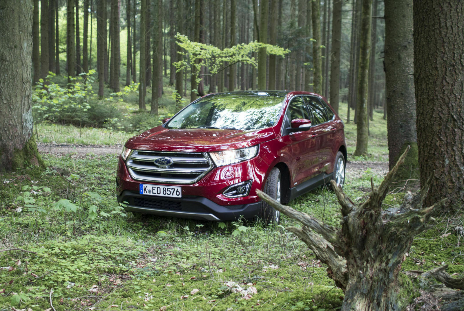 Ford Edge beim Gelände-Ausflug: Das große SUV ist mit seinem Allradantrieb zumindest für Waldwege gut gerüstet