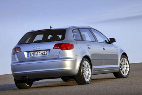 Probleme gibt es mit einigen Motoren. Aktuell empfehlen wir einen großen Turbo-Benziner