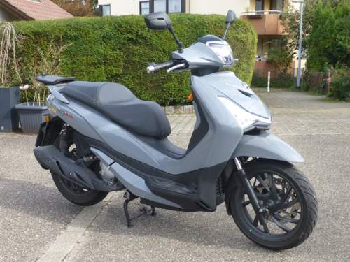Mein Sym HD 300