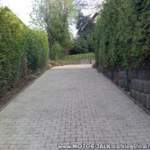 Parkenwieneu