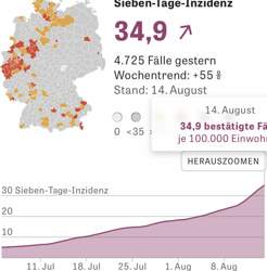 Zeit online Screenshot COVID-19 15.08.21