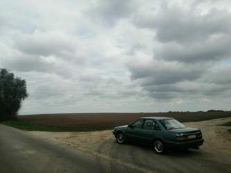 IMG_20200924_121427.jpg