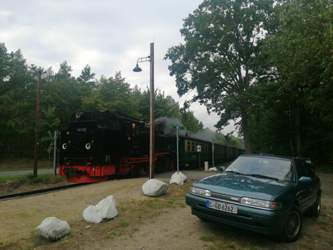 IMG_20200924_142236_1.jpg