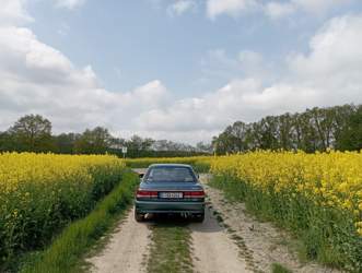 Img-20220508