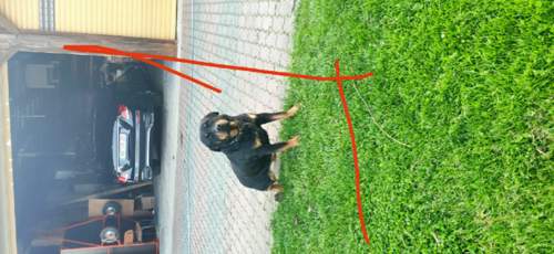 IMG_2021-05-20_19-58-08.jpeg