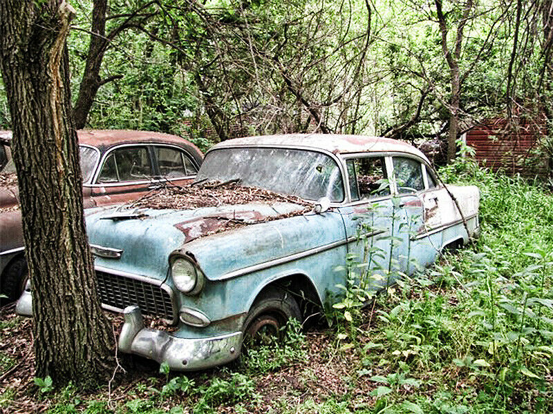 Laub, Rost und Gammel an einem 56er Bel Air