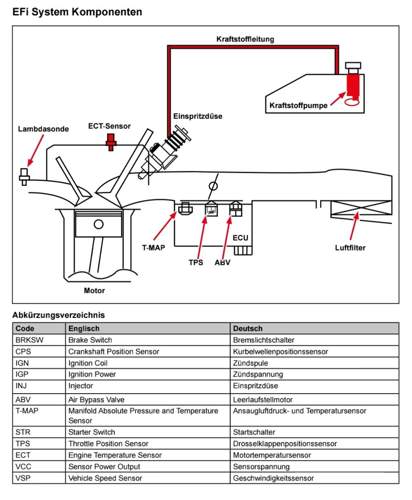 EFI System Komponenten