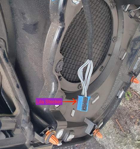 Stecker