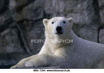 www.fotosearch.de