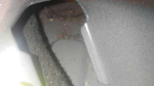 IMG_2021-06-17_18-15-08.jpeg