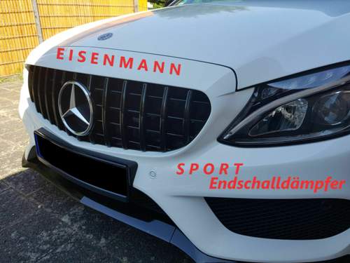 Eisenmannesd