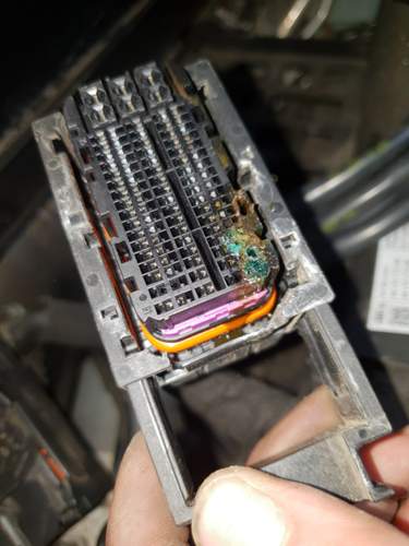 Stecker Motorsteuergerät Kabelbaumseitig