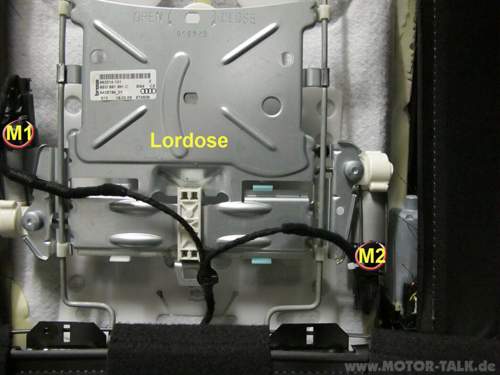 Lordosenmotoren