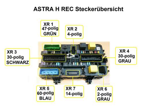 Stecker REC