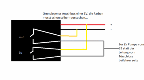 Zv