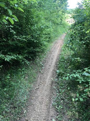 Img-0008
