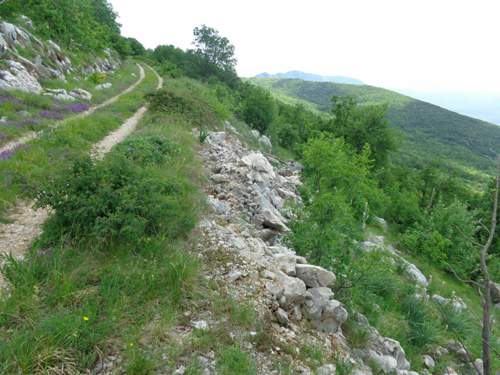 Dsc00539