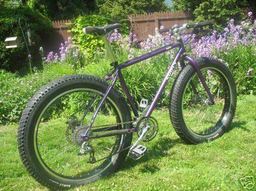 Beachcruiser