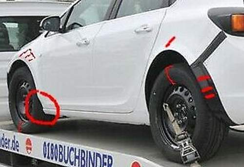 Mule-details