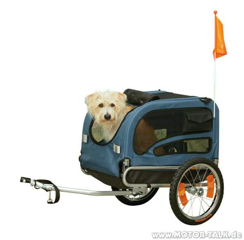 Fuer-den-hund