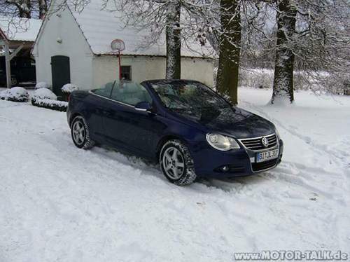 Bild-418