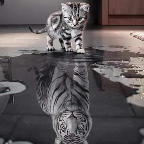 0-original
