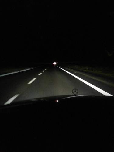 Bild-3