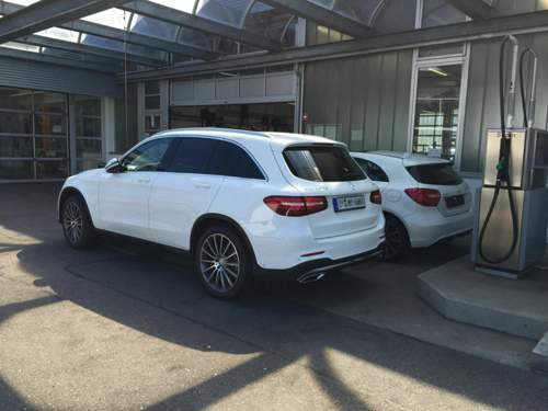 Glc2